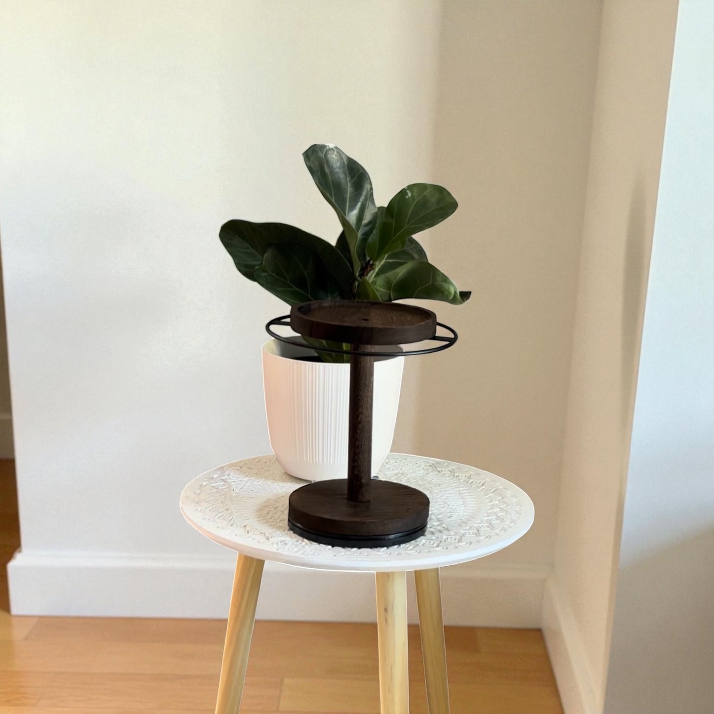 ✨ LuxeSpin Glasses and Jewellery Stand™