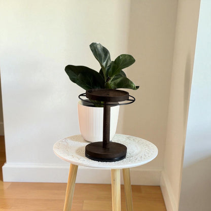 ✨ LuxeSpin Glasses and Jewellery Stand™